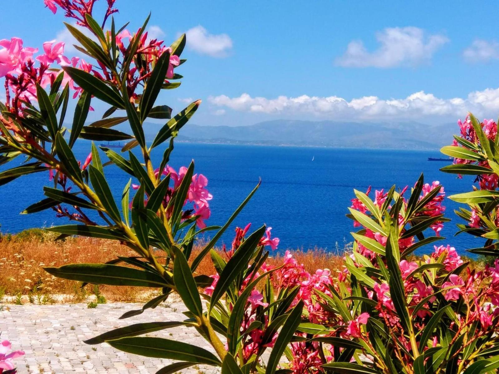 Mavi Panorama Villa Çeşme Zewnętrze zdjęcie