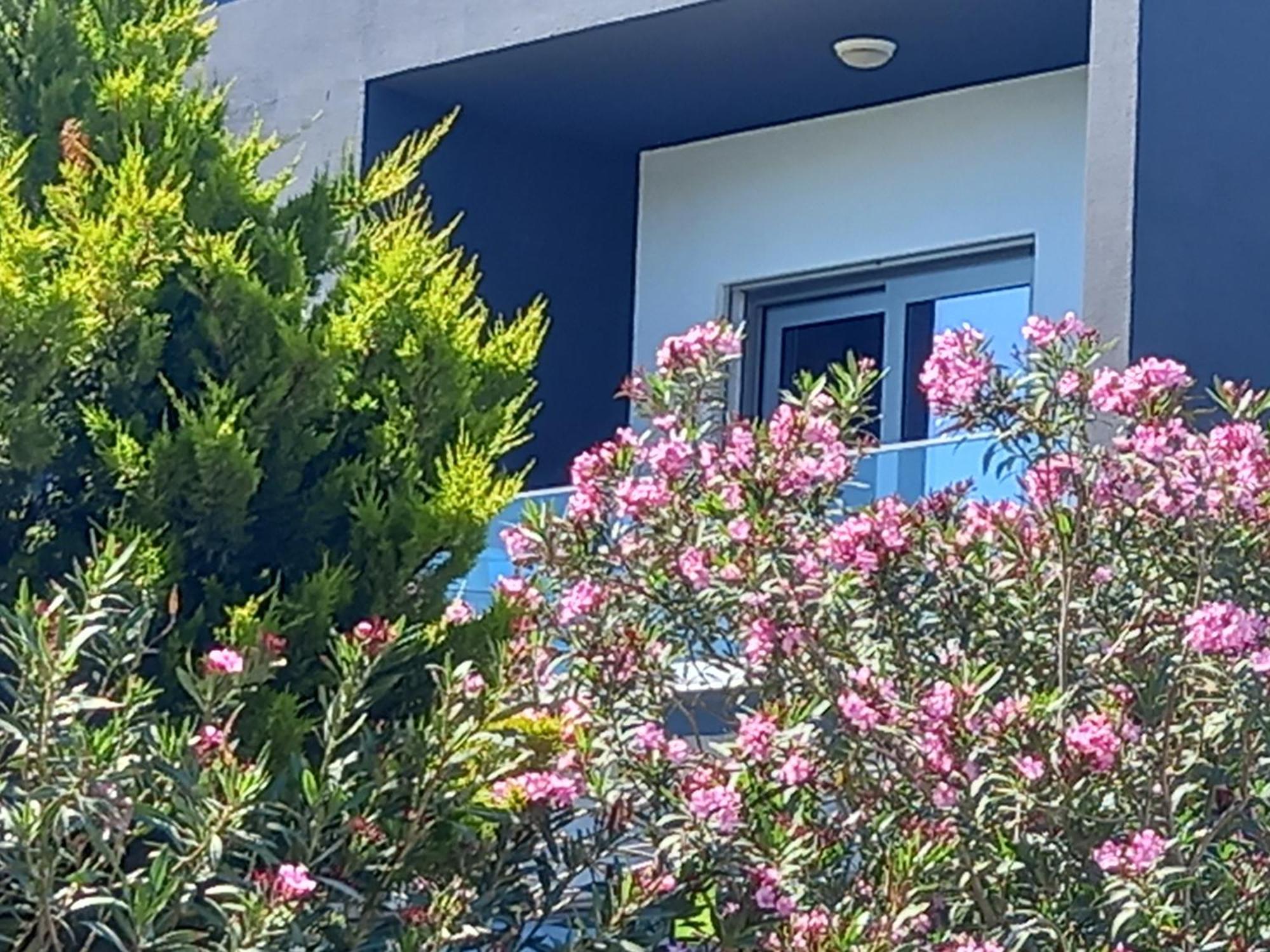 Mavi Panorama Villa Çeşme Zewnętrze zdjęcie